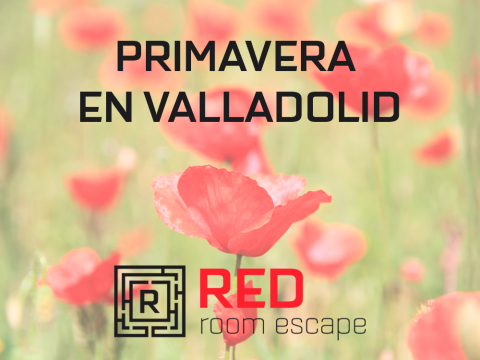 primavera en valladolid
